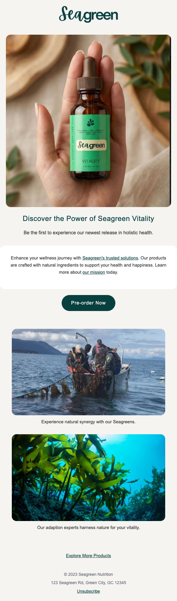 Generated email template preview